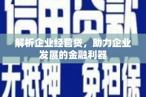 阳山解析企业经营贷，助力企业发展的金融利器