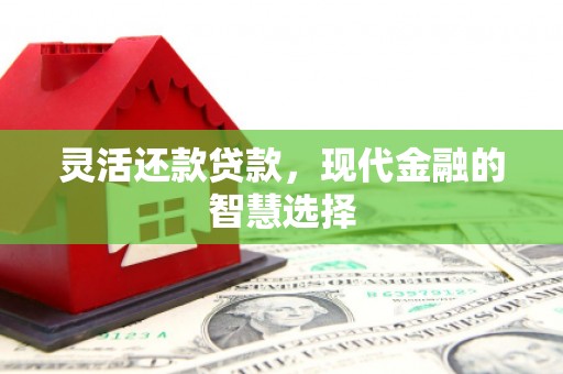 阳山灵活还款贷款，现代金融的智慧选择