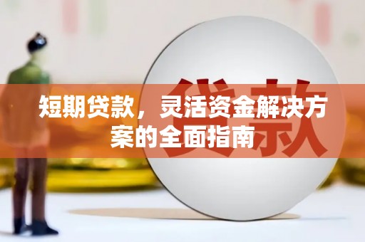 阳山短期贷款，灵活资金解决方案的全面指南