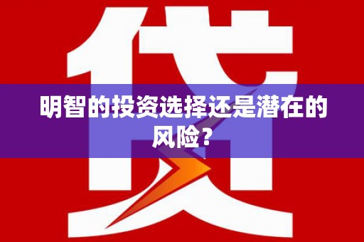 阳山明智的投资选择还是潜在的风险？