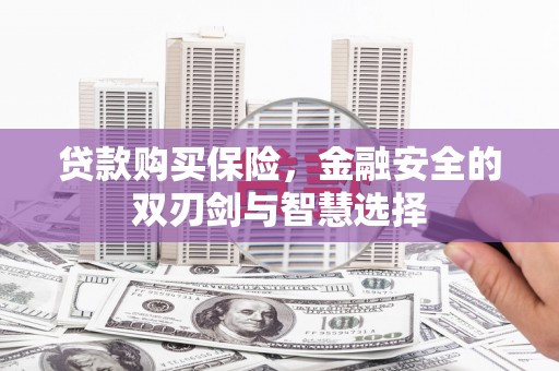 阳山贷款购买保险，金融安全的双刃剑与智慧选择