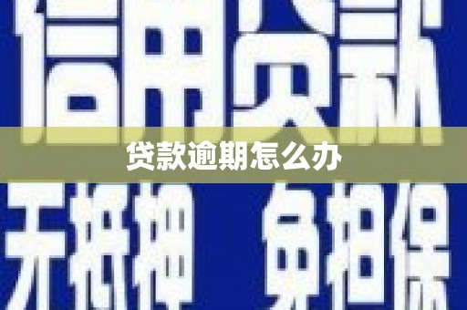 阳山贷款逾期怎么办
