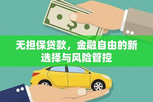 阳山无担保贷款，金融自由的新选择与风险管控