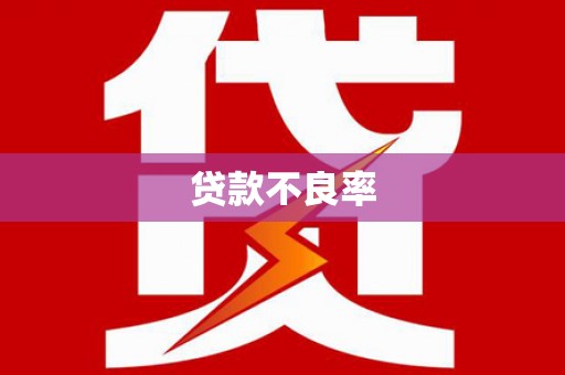 阳山贷款不良率