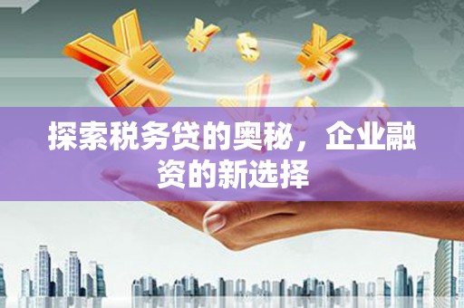 阳山探索税务贷的奥秘，企业融资的新选择