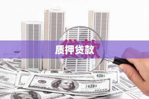 阳山质押贷款