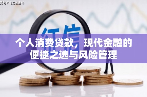 阳山个人消费贷款，现代金融的便捷之选与风险管理