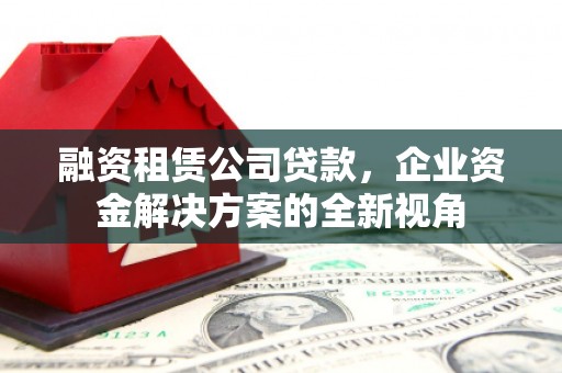 阳山融资租赁公司贷款，企业资金解决方案的全新视角