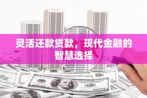 阳山灵活还款贷款，现代金融的智慧选择