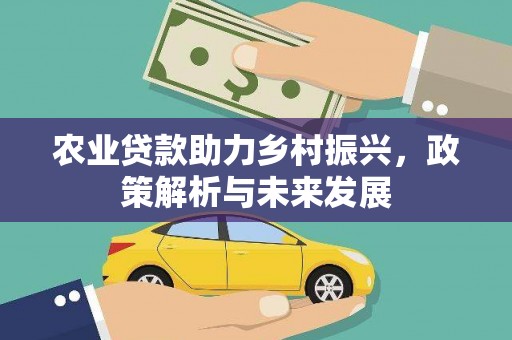 阳山农业贷款助力乡村振兴，政策解析与未来发展
