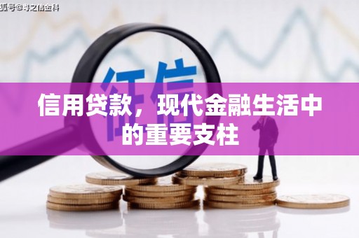阳山信用贷款，现代金融生活中的重要支柱