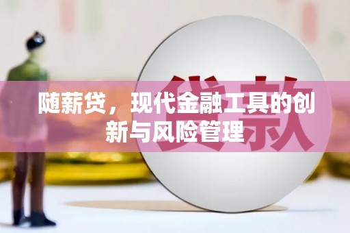 阳山随薪贷，现代金融工具的创新与风险管理