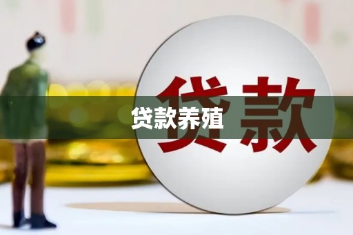 阳山贷款养殖