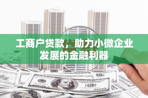 阳山工商户贷款，助力小微企业发展的金融利器