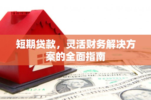 阳山短期贷款，灵活财务解决方案的全面指南