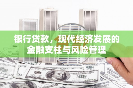 阳山银行贷款，现代经济发展的金融支柱与风险管理