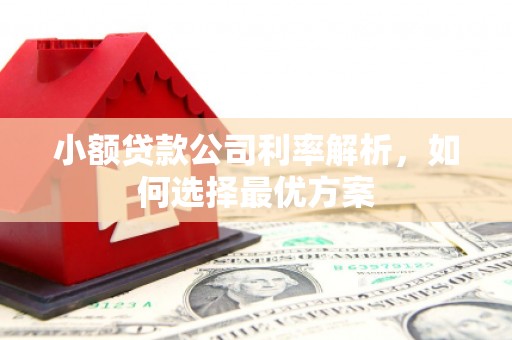 阳山小额贷款公司利率解析，如何选择最优方案