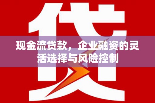 阳山现金流贷款，企业融资的灵活选择与风险控制