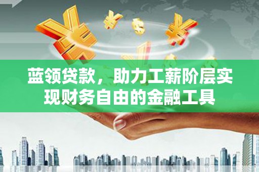阳山蓝领贷款，助力工薪阶层实现财务自由的金融工具