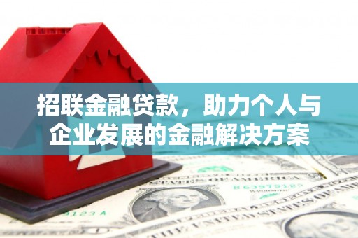 阳山招联金融贷款，助力个人与企业发展的金融解决方案