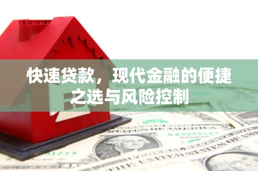 阳山快速贷款，现代金融的便捷之选与风险控制