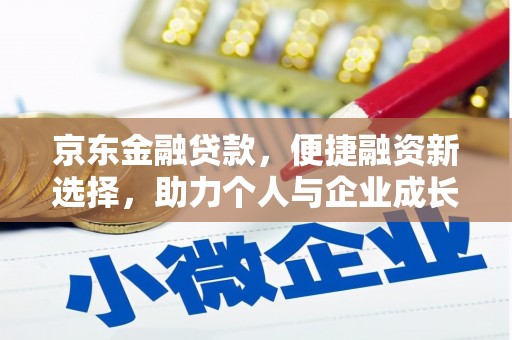 阳山京东金融贷款，便捷融资新选择，助力个人与企业成长