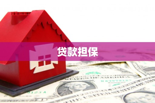 阳山贷款担保