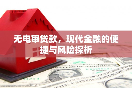 阳山无电审贷款，现代金融的便捷与风险探析