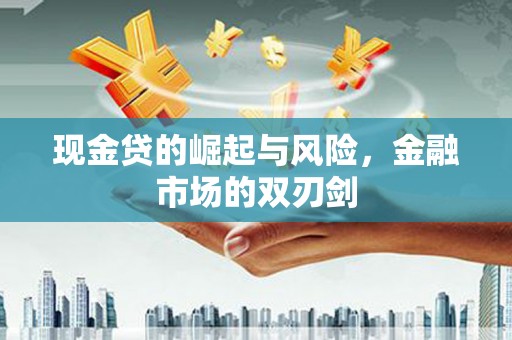 阳山现金贷的崛起与风险，金融市场的双刃剑