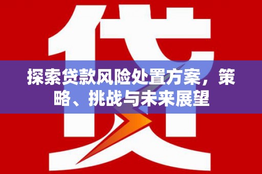 阳山探索贷款风险处置方案，策略、挑战与未来展望