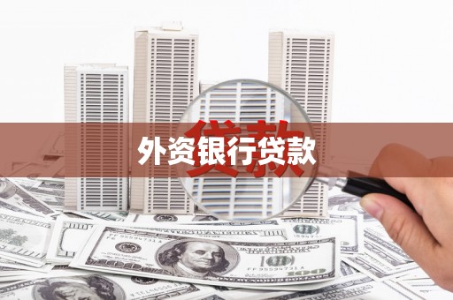 阳山外资银行贷款