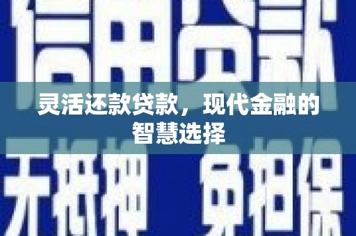 阳山灵活还款贷款，现代金融的智慧选择