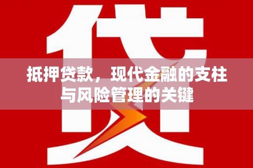 阳山抵押贷款，现代金融的支柱与风险管理的关键