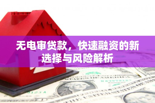 阳山无电审贷款，快速融资的新选择与风险解析