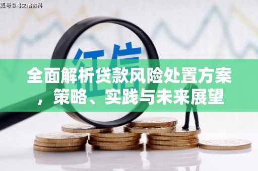 阳山全面解析贷款风险处置方案，策略、实践与未来展望