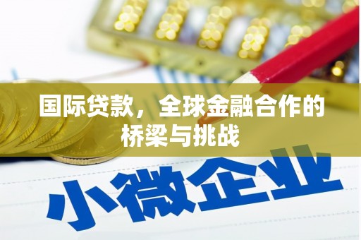 阳山国际贷款，全球金融合作的桥梁与挑战