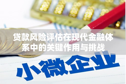 阳山贷款风险评估在现代金融体系中的关键作用与挑战