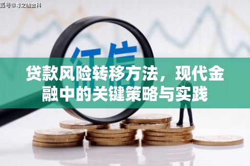 阳山贷款风险转移方法，现代金融中的关键策略与实践