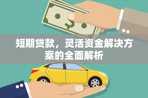 阳山短期贷款，灵活资金解决方案的全面解析
