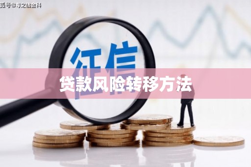 阳山贷款风险转移方法