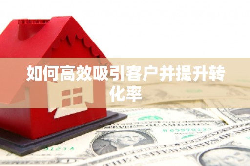 阳山如何高效吸引客户并提升转化率