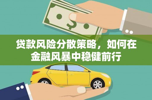 阳山贷款风险分散策略，如何在金融风暴中稳健前行