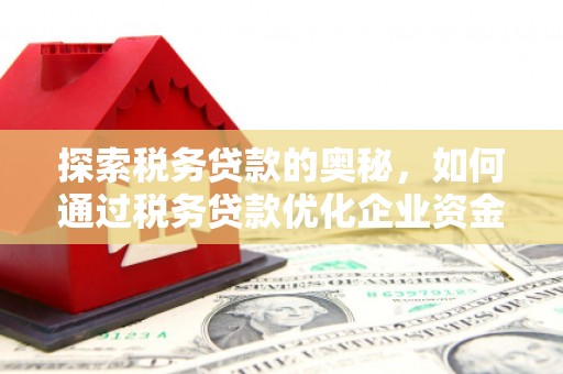 阳山探索税务贷款的奥秘，如何通过税务贷款优化企业资金流