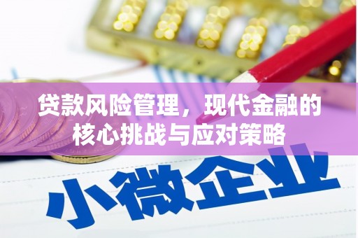 阳山贷款风险管理，现代金融的核心挑战与应对策略
