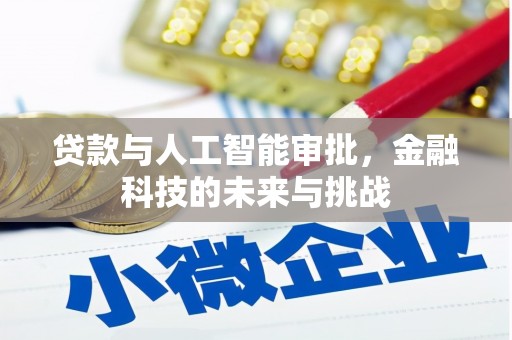 阳山贷款与人工智能审批，金融科技的未来与挑战
