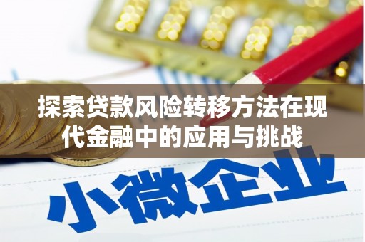 阳山探索贷款风险转移方法在现代金融中的应用与挑战