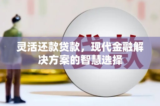 阳山灵活还款贷款，现代金融解决方案的智慧选择