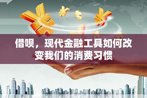 阳山借呗，现代金融工具如何改变我们的消费习惯