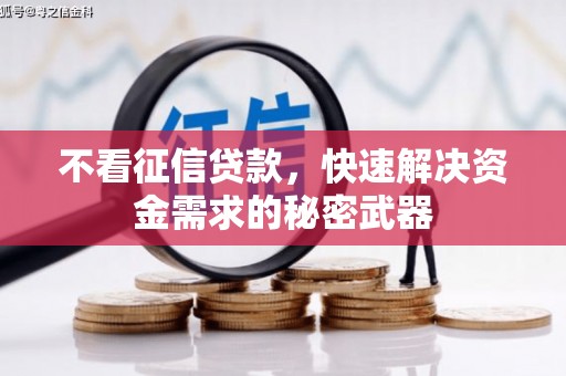 阳山不看征信贷款，快速解决资金需求的秘密武器