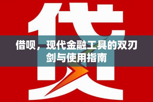 阳山借呗，现代金融工具的双刃剑与使用指南